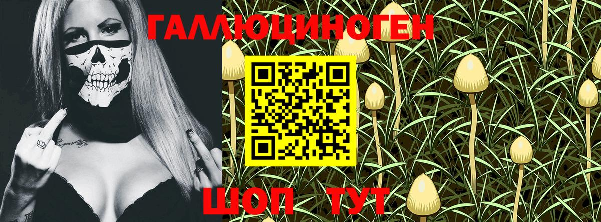 Галлюциногенные грибы GOLDEN TEACHER Железногорск